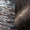 Image to render