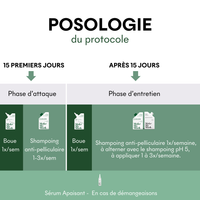 Protocole Anti-Pellicules Grasses & DS