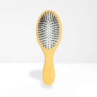 Brosse Lustrante & Démêlante