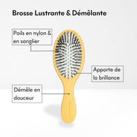Écrin Brosse Personnalisable
