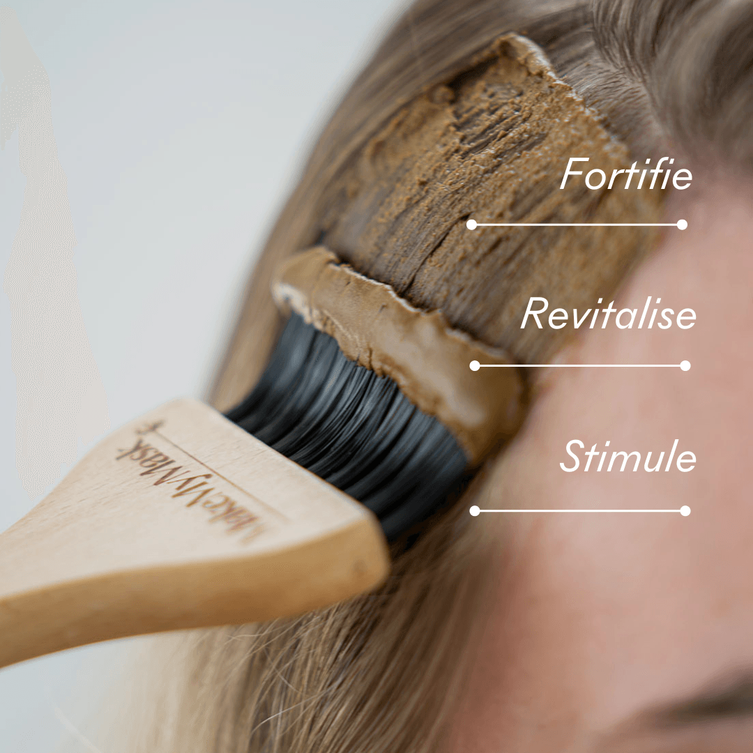 Masques Réparateurs en poudre