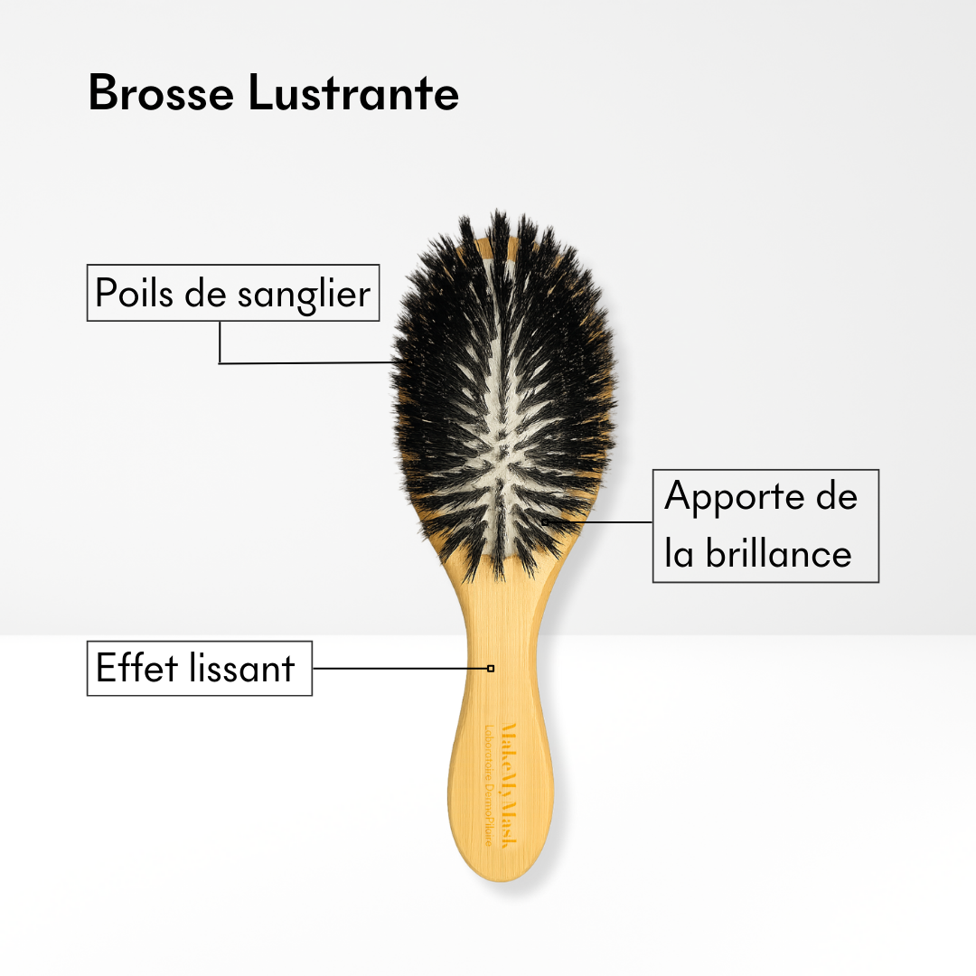 Brosse Lustrante