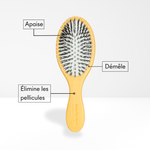 Brosse Anti-Pellicules [Th]
