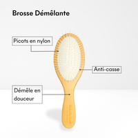 Brosse Démêlante
