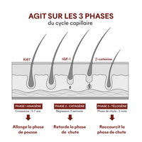 Sérum Anti-Chute Tricho-Boost
