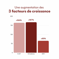 Sérum Anti-Chute Tricho-Boost