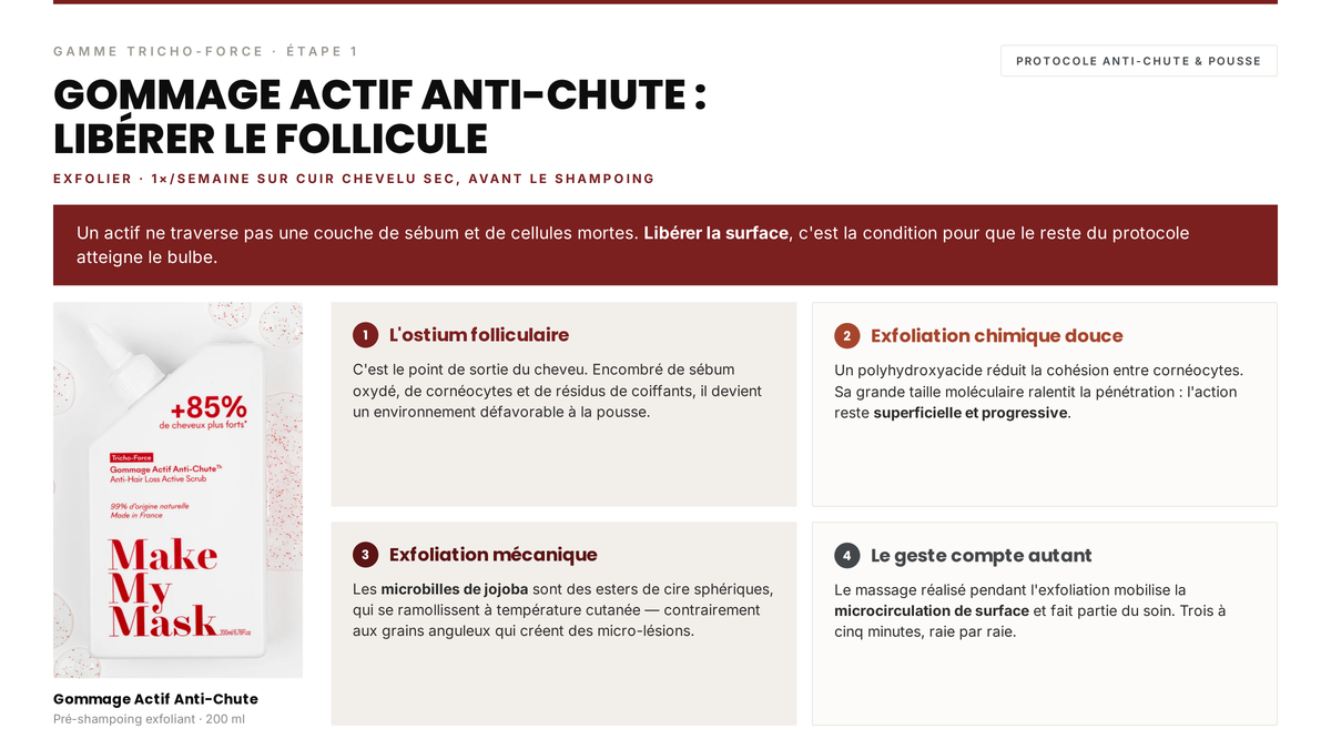 Avis