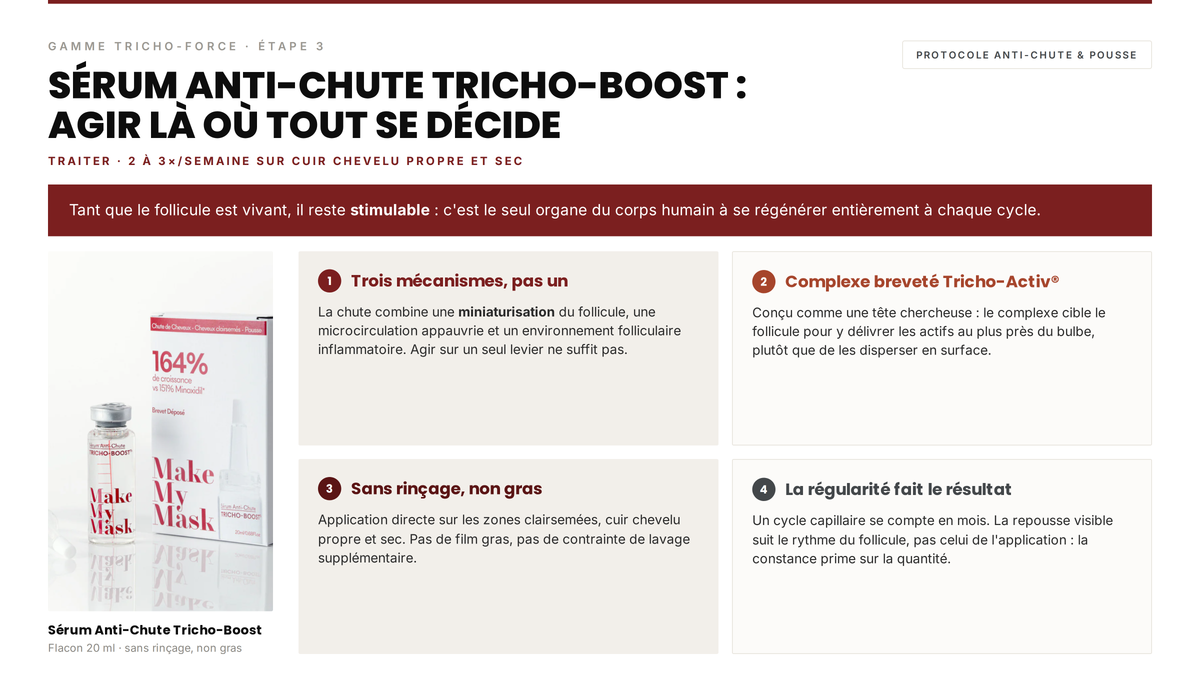 Avis