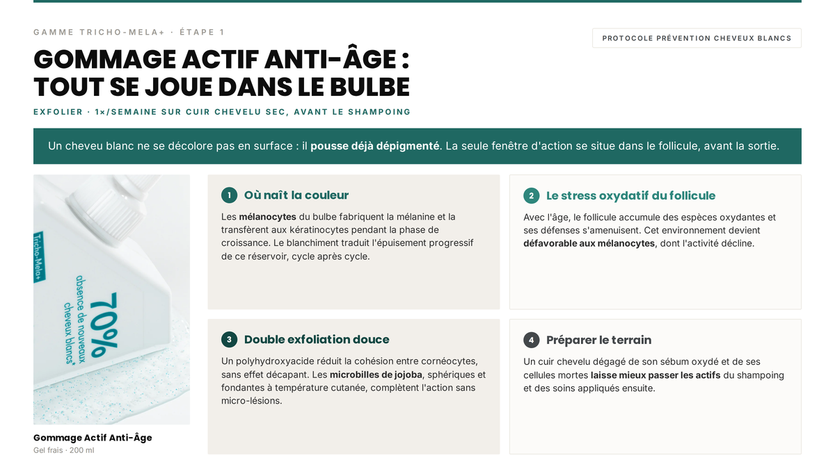 Témoignage client